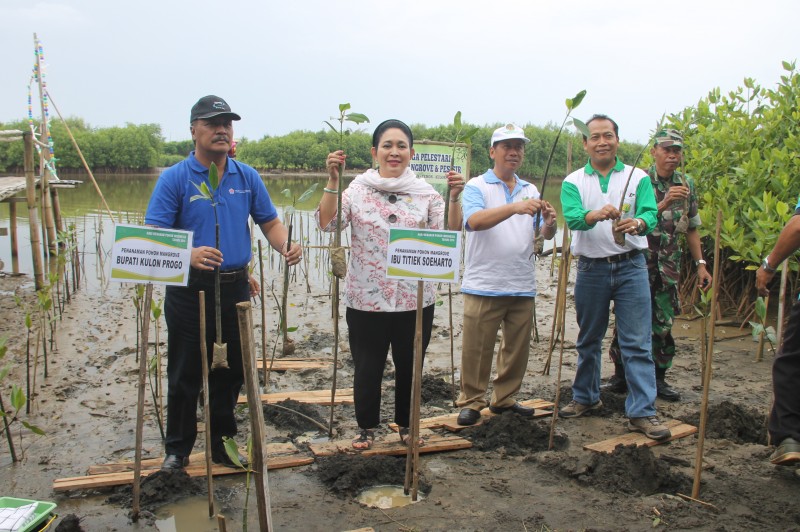 Siti Hediati Soeharto Menanam Mangrove di Pasir Mendhit