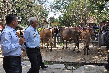 DSC_0977_Harjo_Hamid.jpg