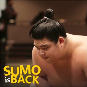 Sumo_Is_Back.jpg